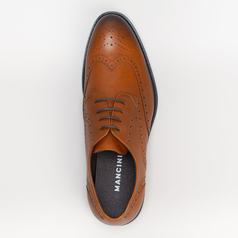 Brogue Lace Up _ 162743