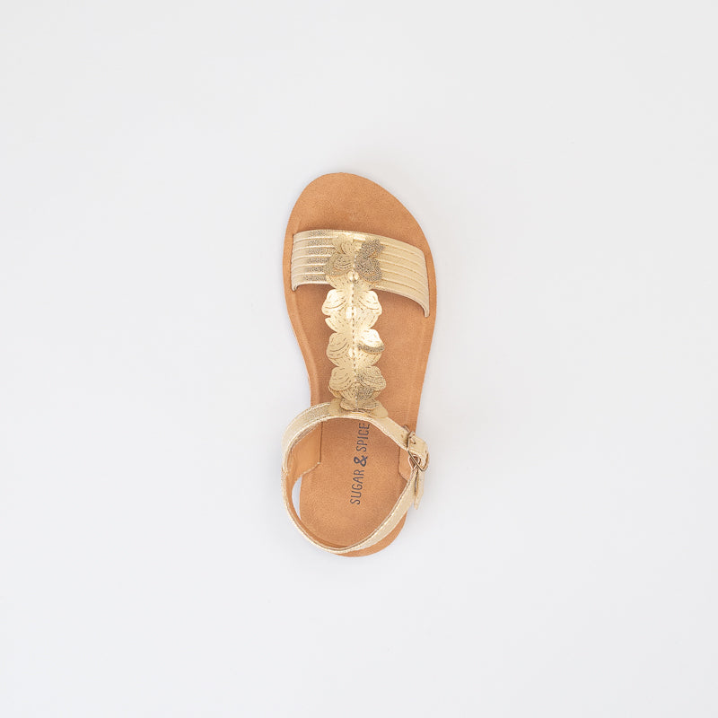 Girls Ankle Strap Sandal _ 154862