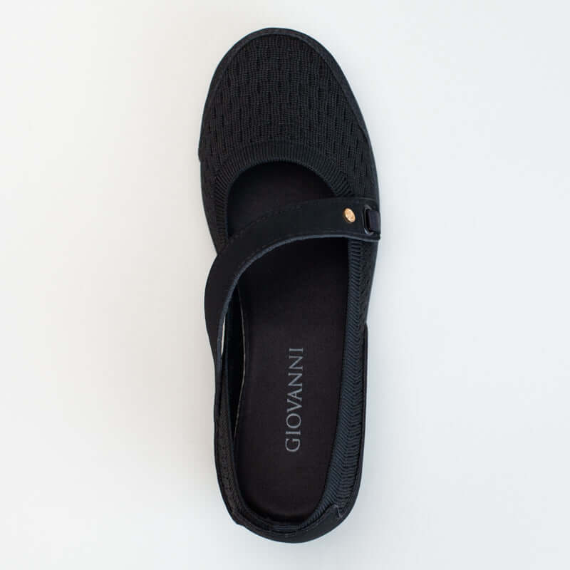 Asymetrical Wedge Pump