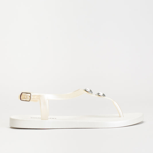Sea Shell Thong