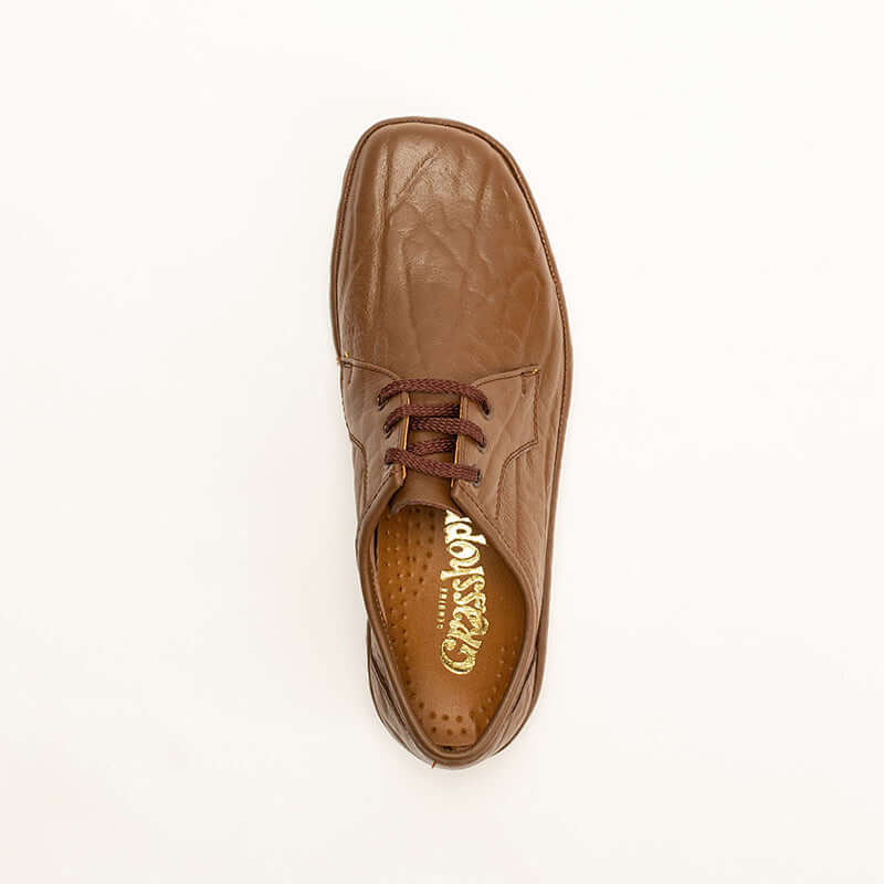 Grasshopper California