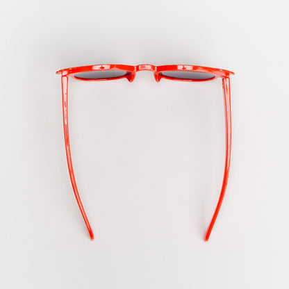 Paw Patrol Sunglasses _ 155528