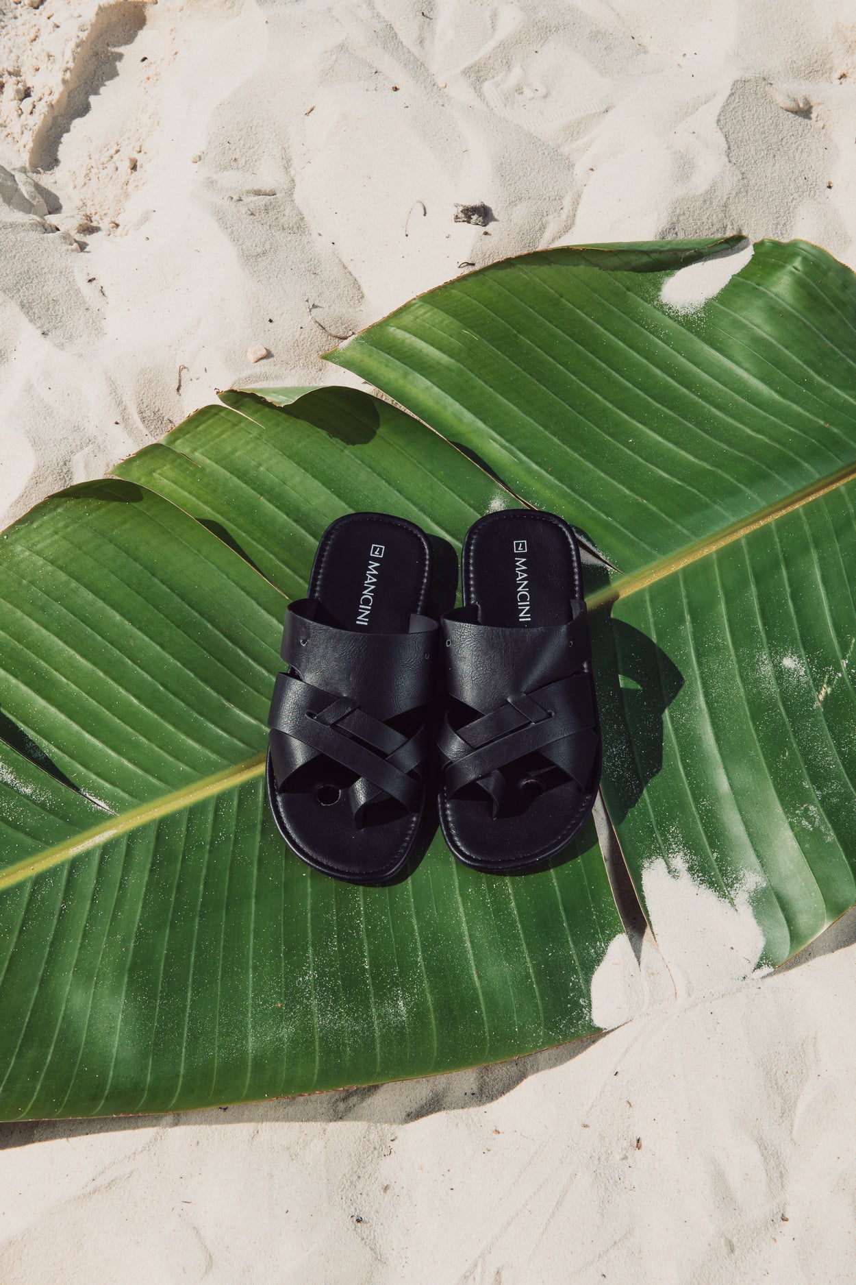 Shoe City Mens, Women's & Kids shoes