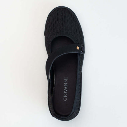 Asymetrical Wedge Pump